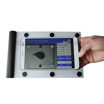 葉片形態測量儀 葉片形態測量儀