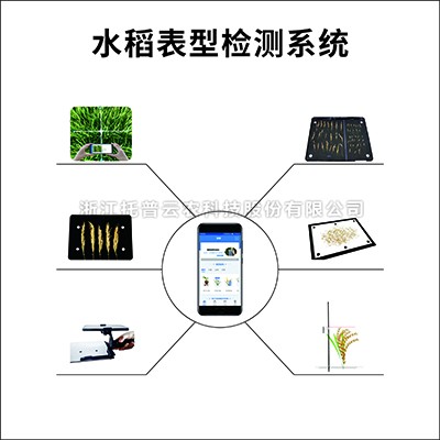 水稻表型檢測儀 水稻表型檢測儀