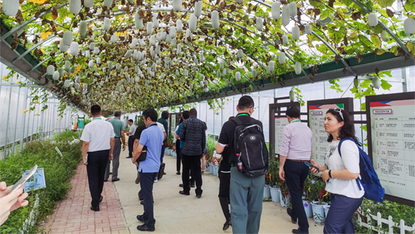 多個國家農業領導與專家在觀摩研討 多個國家農業領導與專家在觀摩研討