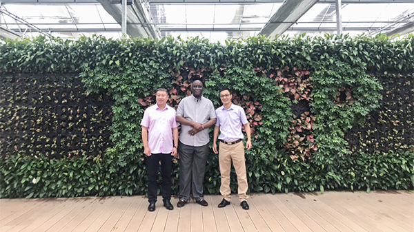 尼日利亞農業銀行行長來訪性爱视频在线观看麻豆 尼日利亞農業銀行行長來訪性爱视频在线观看麻豆