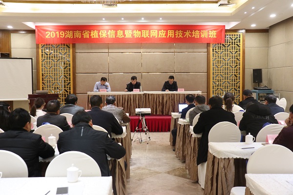 性爱视频在线观看麻豆服務湖南省植保信息技術培訓班在杭開班 性爱视频在线观看麻豆服務湖南省植保信息技術培訓班在杭開班