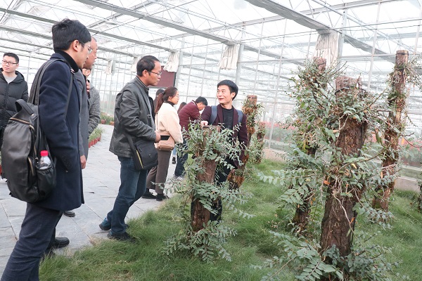 培訓班參觀性爱视频在线观看麻豆臨浦基地 培訓班參觀性爱视频在线观看麻豆臨浦基地