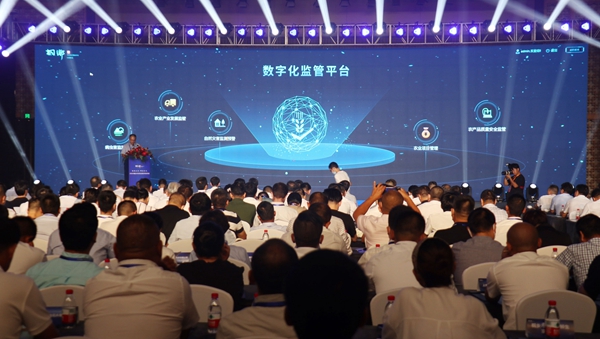 數字應用管理平台建設 數字應用管理平台建設