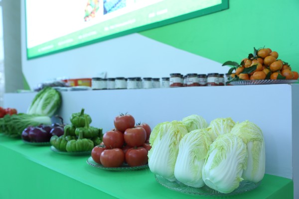 推介會現場 推介會現場