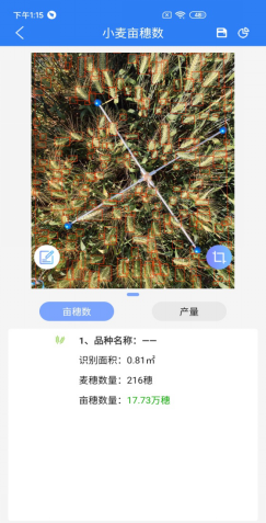 小麥畝穗數測量係統計算結果 小麥畝穗數測量係統計算結果