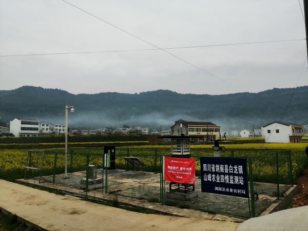 性爱视频在线观看麻豆病蟲害監測點 性爱视频在线观看麻豆病蟲害監測點