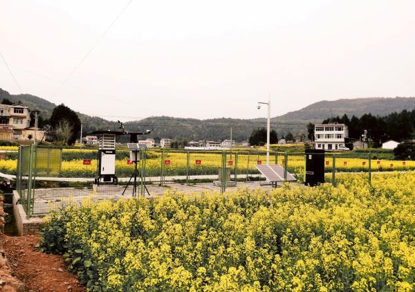性爱视频在线观看麻豆病蟲害監測點 性爱视频在线观看麻豆病蟲害監測點