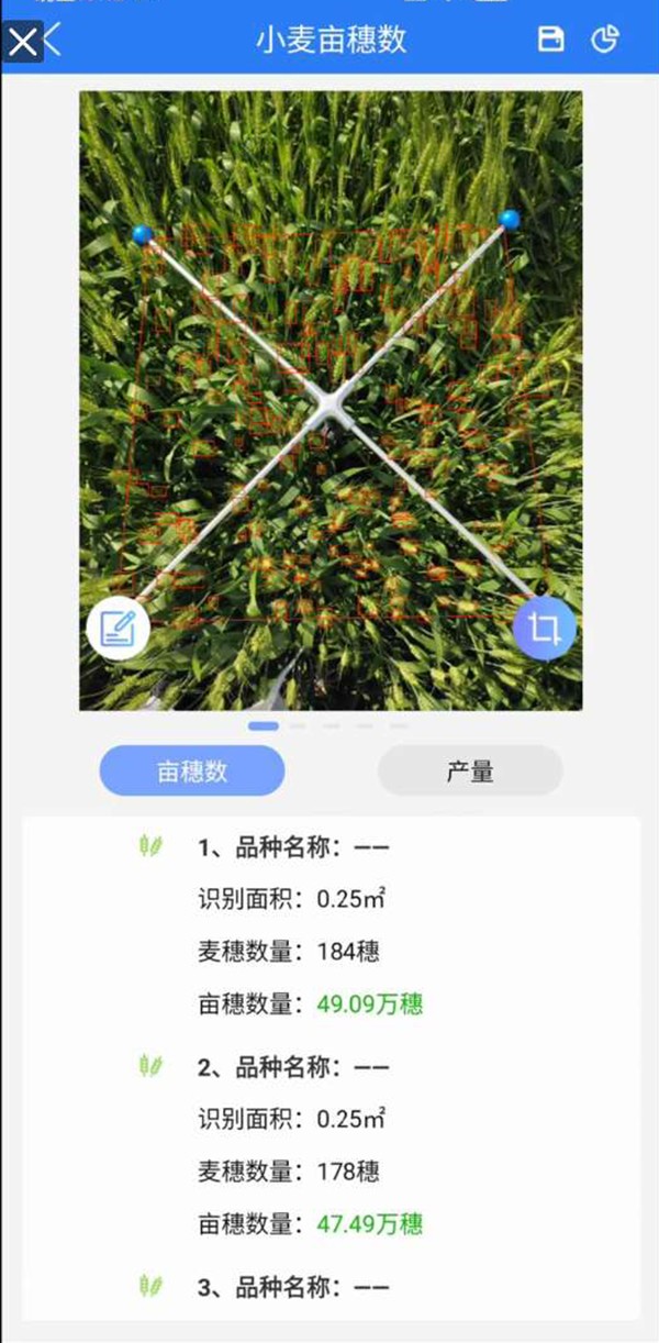 小麥畝穗數測量係統 小麥畝穗數測量係統