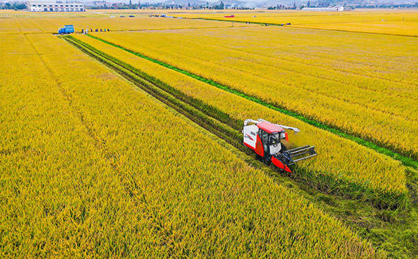 古林大田數字農業項目建設成效 古林大田數字農業項目建設成效