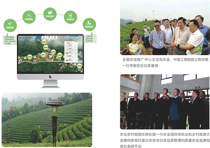 安吉茶園物聯網 安吉茶園物聯網