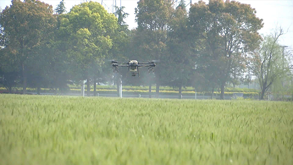 1628660887541305.jpg 圖片1.jpg