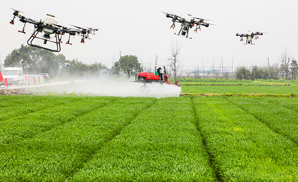 1639373175186883.jpg 6.jpg