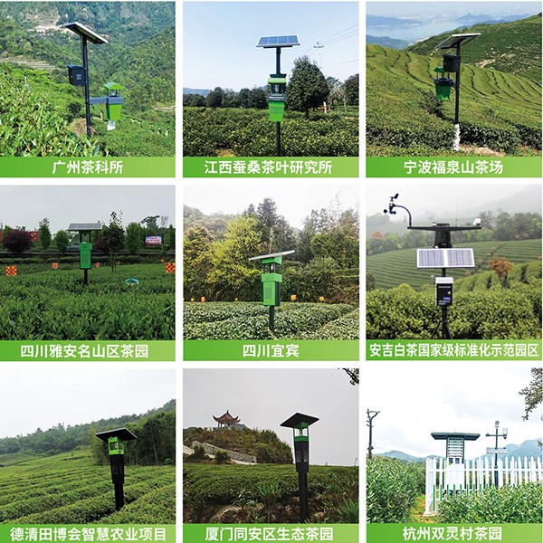 性爱视频在线观看麻豆茶園綠色防控技術方案應用 性爱视频在线观看麻豆茶園綠色防控技術方案應用