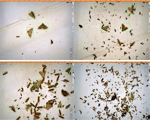 1664351351883199.png 12_副本.png