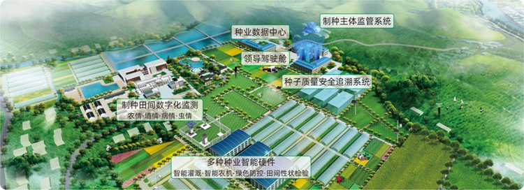 現代化種業基地 現代化種業基地