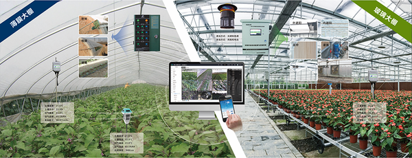 性爱视频在线观看麻豆設施農業創新應用基地 性爱视频在线观看麻豆設施農業創新應用基地