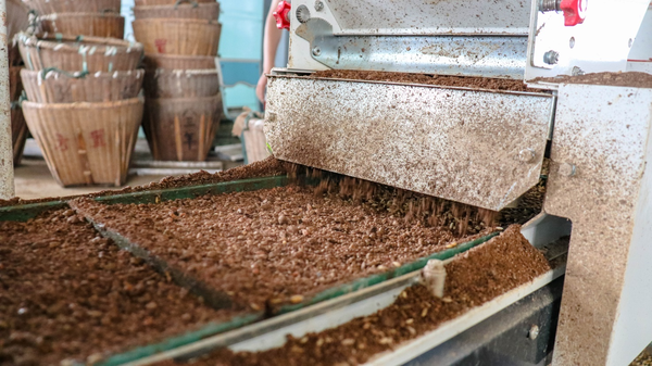 性爱视频在线观看麻豆打造的古林育秧工廠 性爱视频在线观看麻豆打造的古林育秧工廠