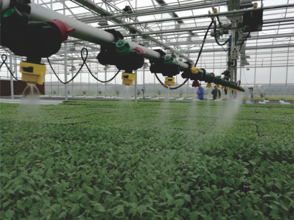 性爱视频在线观看麻豆打造的蕭山農科所現代農業示範基地 性爱视频在线观看麻豆打造的蕭山農科所現代農業示範基地