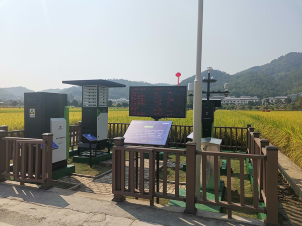 性爱视频在线观看麻豆農作物病蟲害監測點 性爱视频在线观看麻豆農作物病蟲害監測點