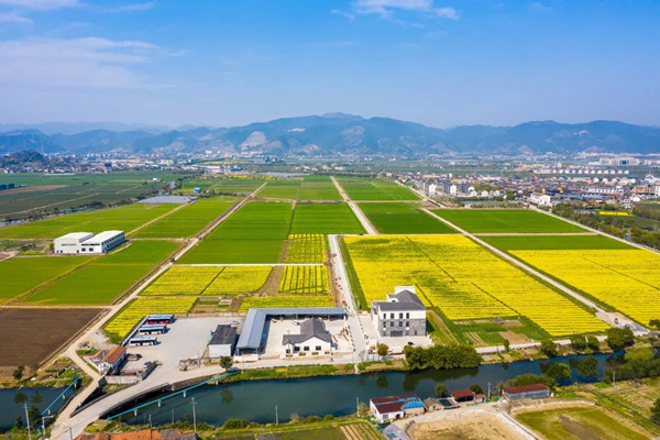 寧波海曙古林數字大田 寧波海曙古林數字大田