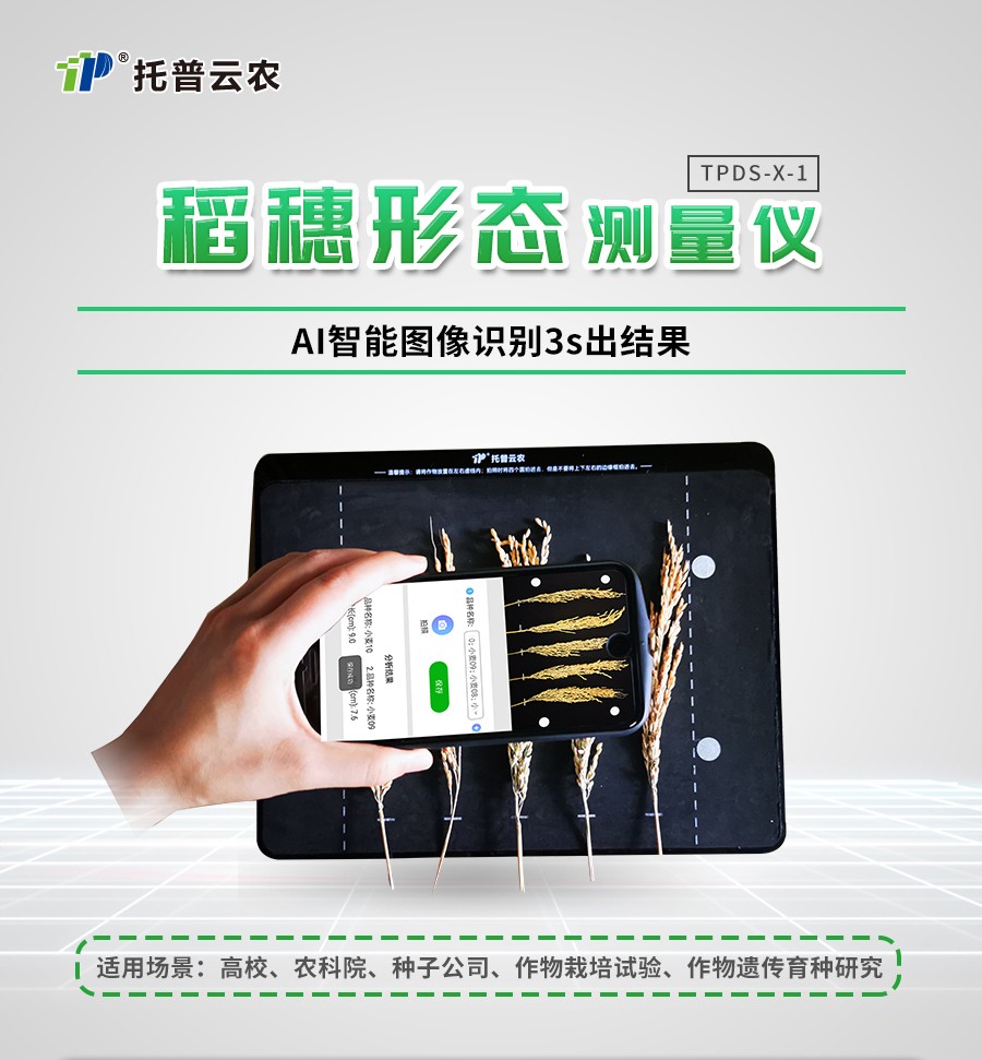 稻穗形態測量儀 稻穗形態測量儀