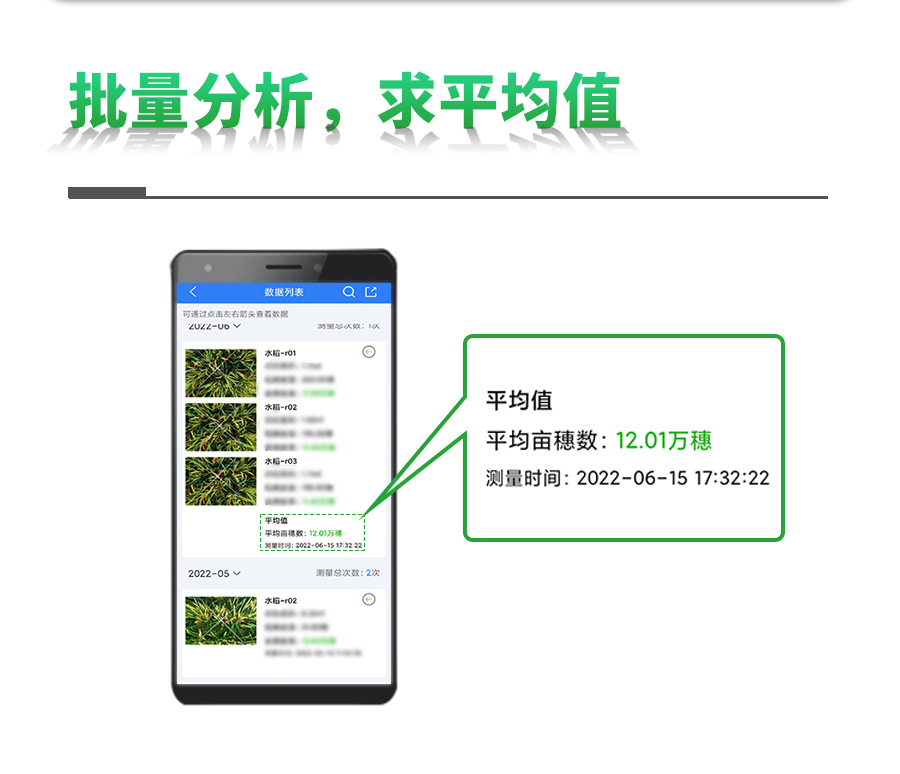 水稻畝穗數測量係統 水稻畝穗數測量係統