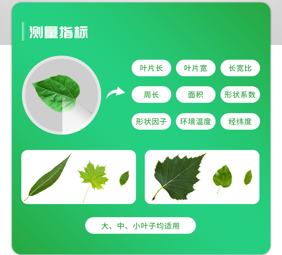 活體葉麵積測量儀 活體葉麵積測量儀