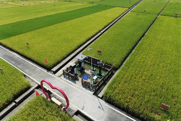 1679290148862557.jpg 9.jpg