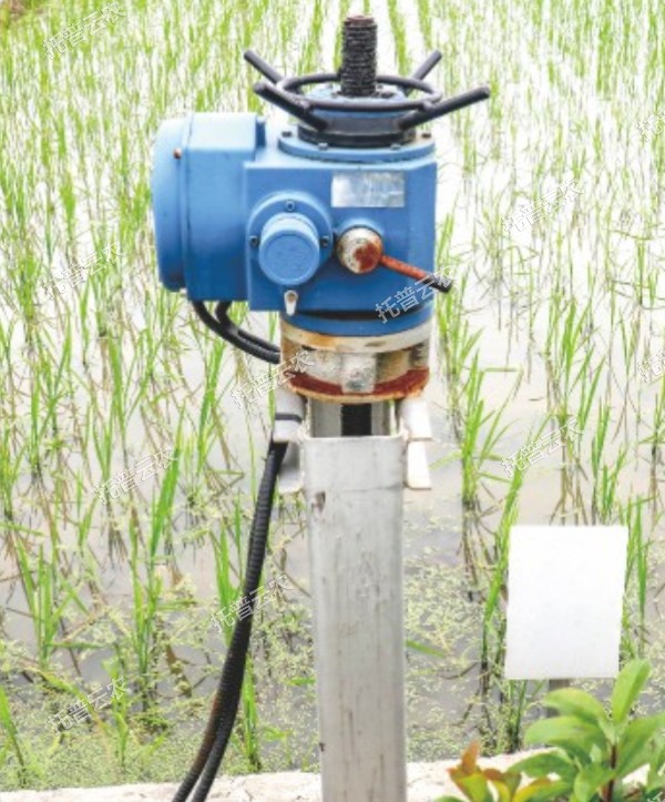 1685948435905374.jpg 1685948435905374.jpg