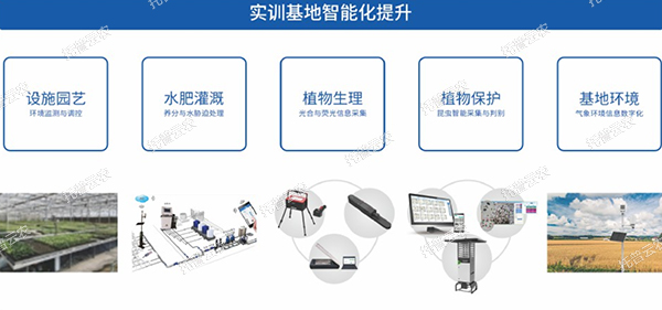 1685953145405149.jpg 1.jpg