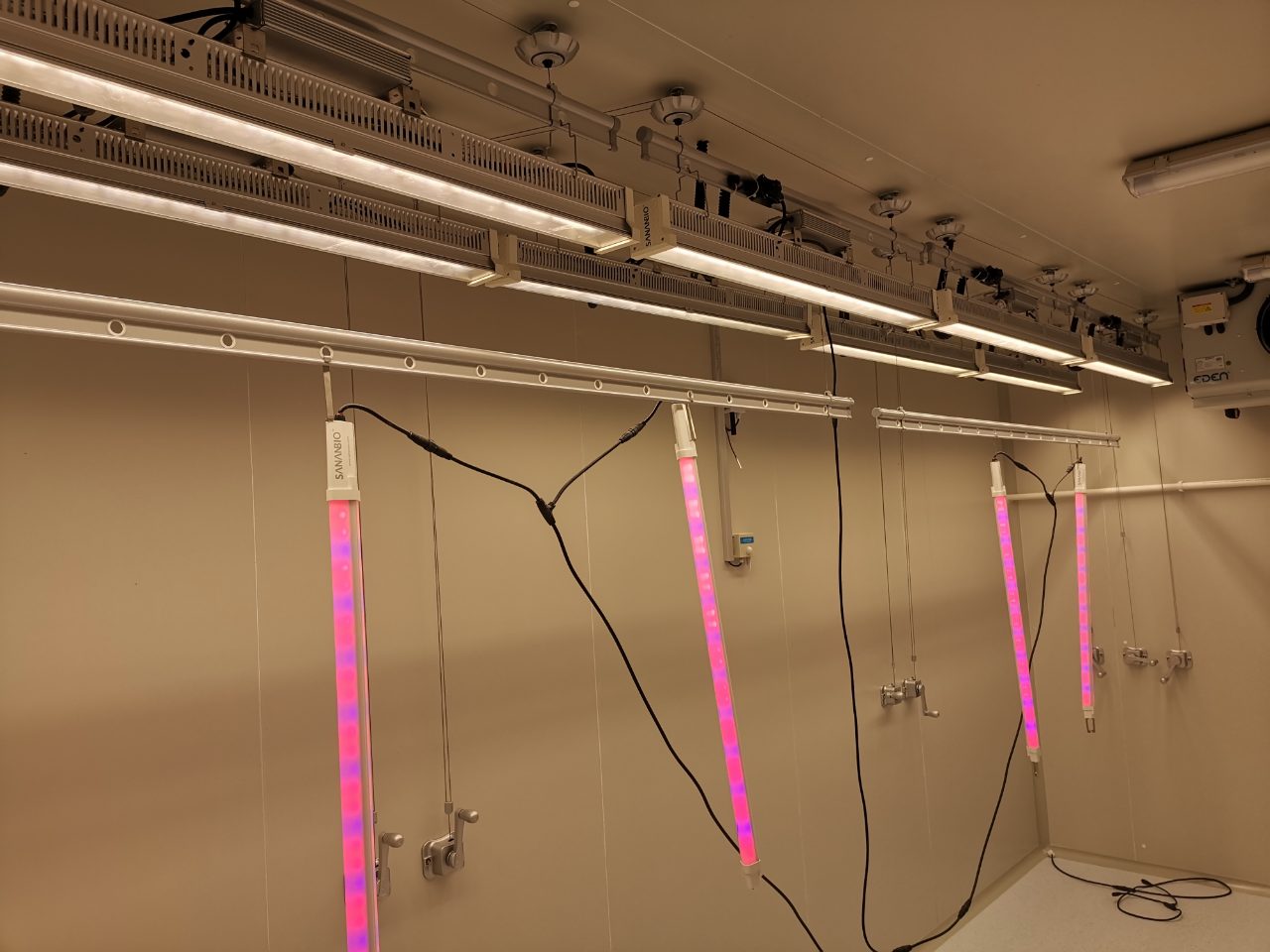 1688376899678254.jpg 1688376899678254.jpg