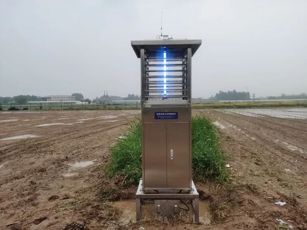 1690435525718742.jpg 6.jpg