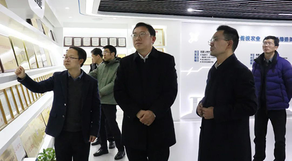 1709281946697675.jpg SEO1.jpg