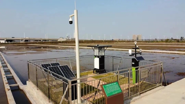 1711777022119811.jpg 江門市木江村高標準農田.jpg