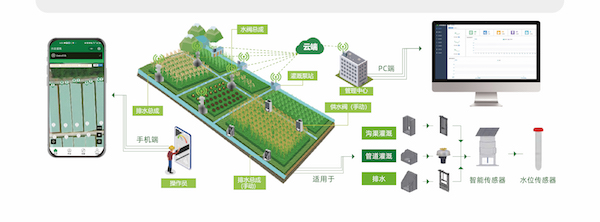 1717403322189864.jpg 9.jpg