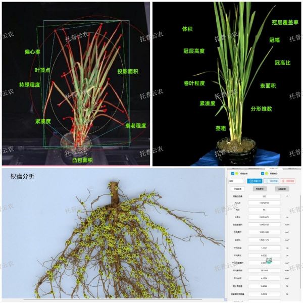 1721897937168563.jpg seo 4.jpg