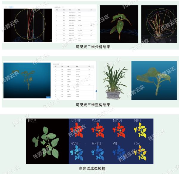 1725355335652447.jpg seo圖 (4).jpg