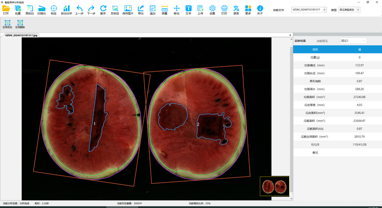 1739005495539788.png 3. 西瓜表型測定(2).png