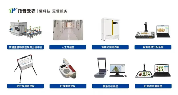 1740192002843587.png SEO-2.png