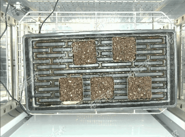 1742202475265991.png 1.png