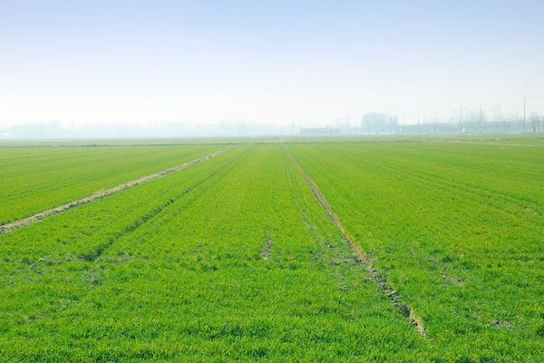 1743409094997328.jpg 1.jpg