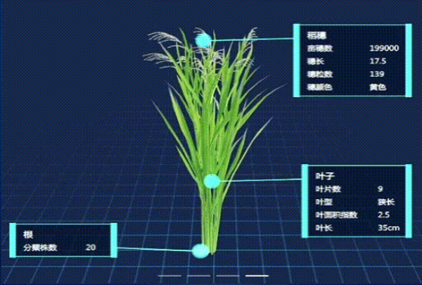 1743499424896839.png seo-4.png