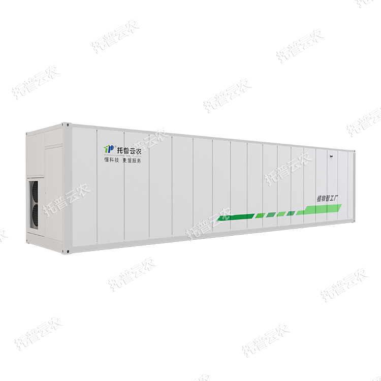 1745917475223092.png 主圖1_750x750_加水印.png