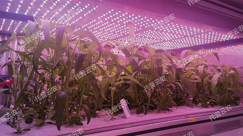 1745917658236970.png 圖片5.png