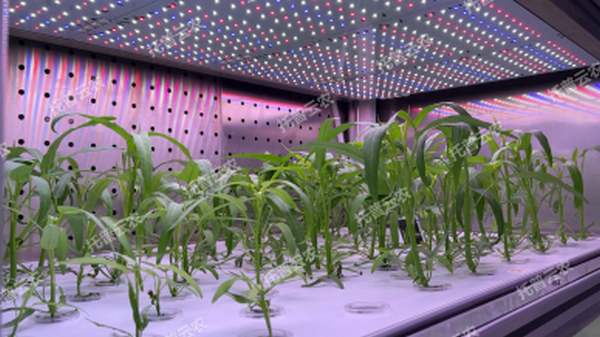 1747101846877175.png 7_副本.png