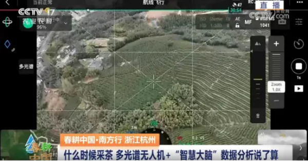 1749540199228169.png 圖片7.png