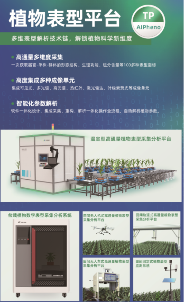 1754279185783641.png 植物表型_副本.png