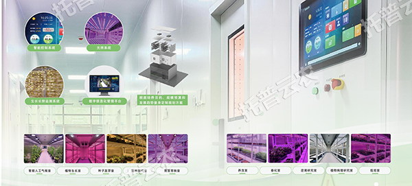 1755567081519008.png 圖片2.png