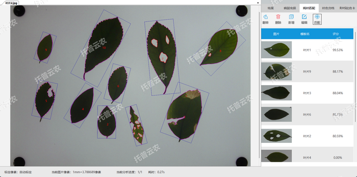 1757057580934104.png 殘葉匹配.png