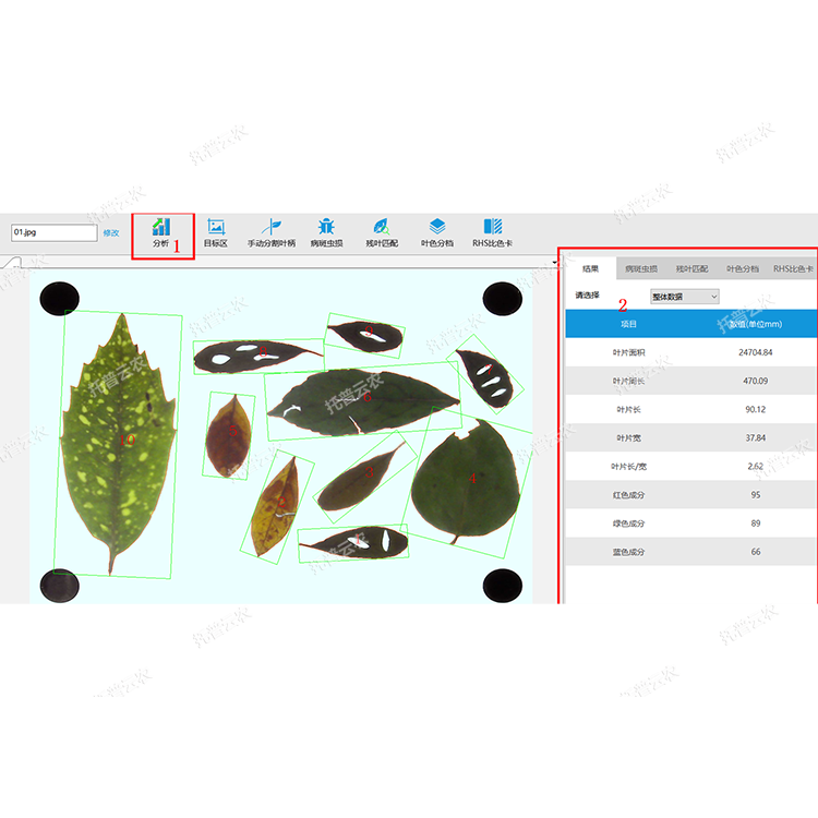 1757057692788653.png 葉麵積分析係統界麵圖.png